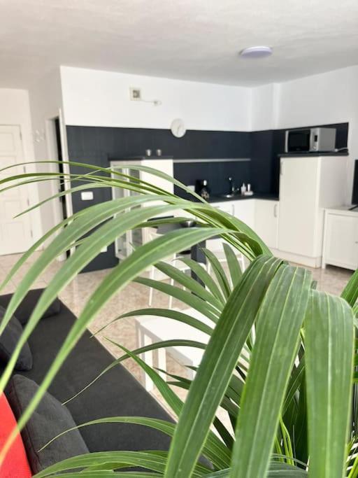 Heyhome Lynn 306 Los Cristianos  Εξωτερικό φωτογραφία
